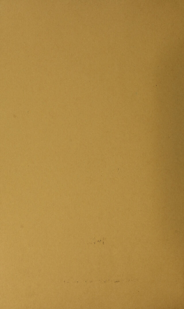 digitised image 2