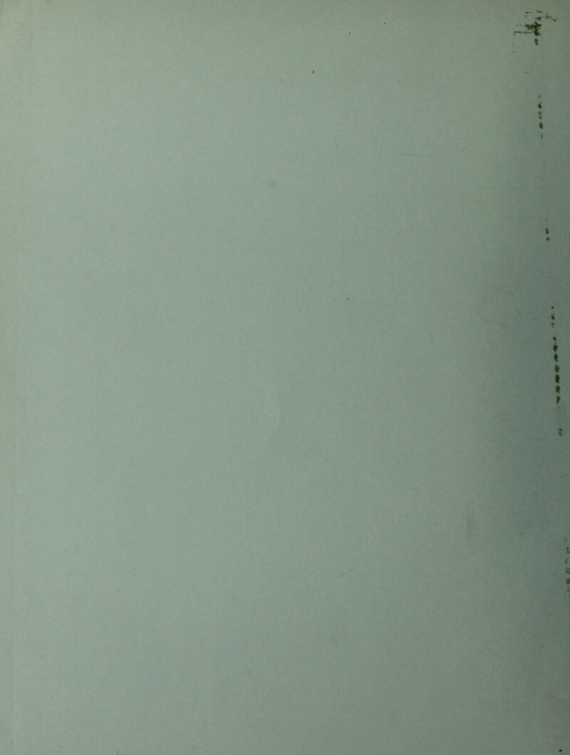 t *■ f t > I K t s