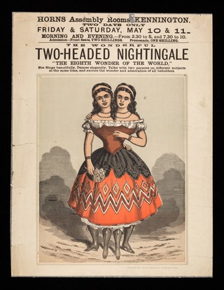 The wonderful two-headed nightingale : "the eighth wonder of the world" / Horns Assembly Rooms, Kennington.