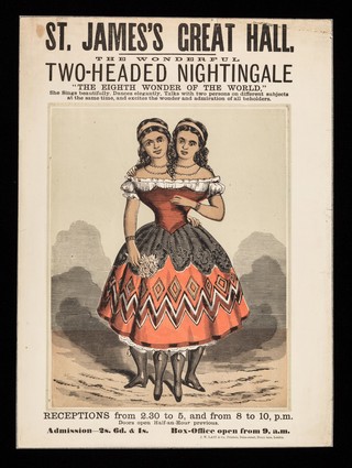 The wonderful two-headed nightingale : "the eighth wonder of the world" / St. James's Great Hall.