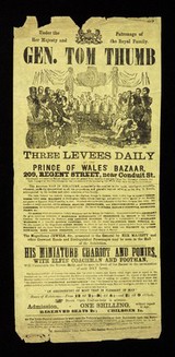 Under the patronage of Her Majesty and the royal family : Gen. Tom Thumb : three levees daily at the Prince of Wales Bazaar, 209 Regent Street, near Conduit Street ... / Prince of Wales Bazaar.