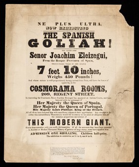 Ne plus ultra. Now exhibiting : The Spanish Goliah! The celebrated Senor Joachim Eleizegui, from the basque provinces of Spain, twenty-three years of age - stands 7 feet 10 inches, weighs 450 pounds ... appearing at the Cosmorama Rooms, 290 Regent Street ...