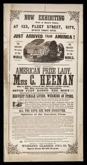 Now exhibiting for a short time, at 122, Fleet Street, City, opposite Punch's office : Just arrived from America the greatest wonder of the world. The great American prize lady, Miss C. Heenan ... heaviest female living, weighing 40 stone ...