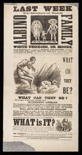Last week of the extraordinary and wonderful Albino Family : white negroes, or moors, from Madagascar, consisting of a husband, wife and child ... : What can they be? ... What is it? ... More wonderful curiosities! The original Siamese twins Chan and Eng ... / P.T. Barnum.