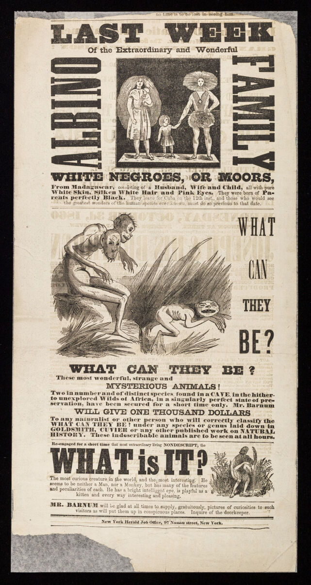 digitised image 1