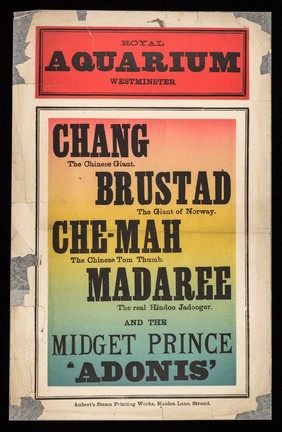 Chang, the Chinese giant : Brustad, the giant of Norway. Che-Mah, the Chinese Tom Thumb. Madaree, the real hindoo jadooger. And the midget prince 'Adonis' / Royal Aquarium, Westminster.