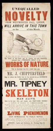 Unequalled novelty from Westminster Hall, London, will arrive in this town on the  of this month : The public of this town and its vicinity are most respectfully informed that a wonderful display of the works of nature will be exhibited here for a short time only. Mr. J. Chipperfield begs to inform the public that he has entered into an expensive engagement with Mr. Tipney the Skeleton Man Alive, born in the year 1841, and weighs only forty-nine pounds!.