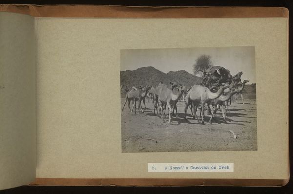 Archaeological excavations at Gebel Moya (Jebel Moya), Sudan: season of 1910-1911, and Segadi, Sudan, 1912-1925. Photographs, 19--.