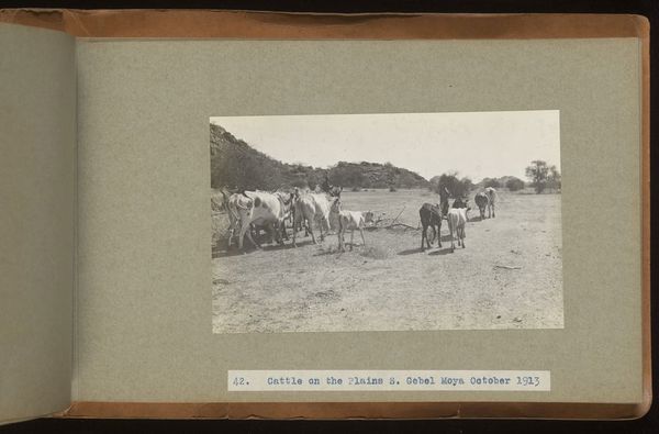 Archaeological excavations at Gebel Moya (Jebel Moya), Sudan: season of 1910-1911, and Segadi, Sudan, 1912-1925. Photographs, 19--.
