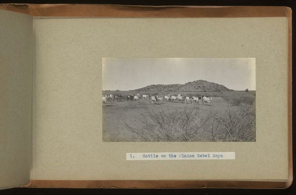 Archaeological excavations at Gebel Moya (Jebel Moya), Sudan: season of 1910-1911, and Segadi, Sudan, 1912-1925. Photographs, 19--.