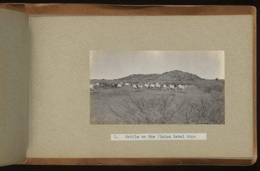 Archaeological excavations at Gebel Moya (Jebel Moya), Sudan: season of 1910-1911, and Segadi, Sudan, 1912-1925. Photographs, 19--.