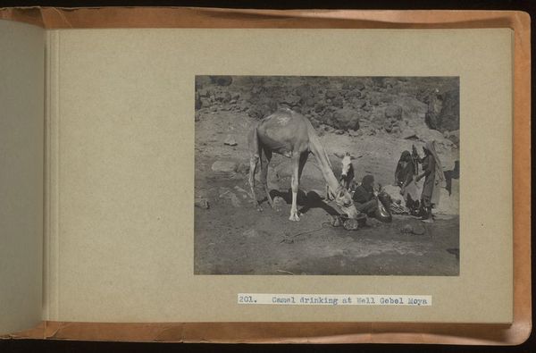 Archaeological excavations at Gebel Moya (Jebel Moya), Sudan: season of 1910-1911, and Segadi, Sudan, 1912-1925. Photographs, 19--.