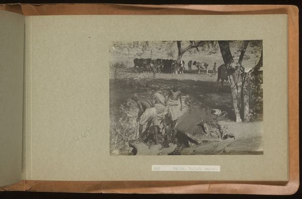 Archaeological excavations at Gebel Moya (Jebel Moya), Sudan: season of 1910-1911, and Segadi, Sudan, 1912-1925. Photographs, 19--.