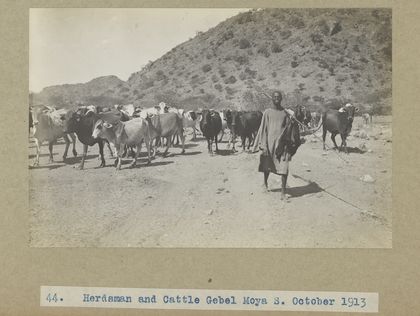 Archaeological excavations at Gebel Moya (Jebel Moya), Sudan: season of 1910-1911, and Segadi, Sudan, 1912-1925. Photographs, 19--.