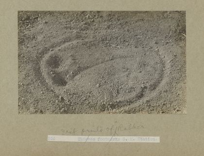 Archaeological excavations at Gebel Moya (Jebel Moya), Sudan: season of 1910-1911, and Segadi, Sudan, 1912-1925. Photographs, 19--.