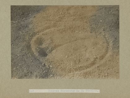 Archaeological excavations at Gebel Moya (Jebel Moya), Sudan: season of 1910-1911, and Segadi, Sudan, 1912-1925. Photographs, 19--.
