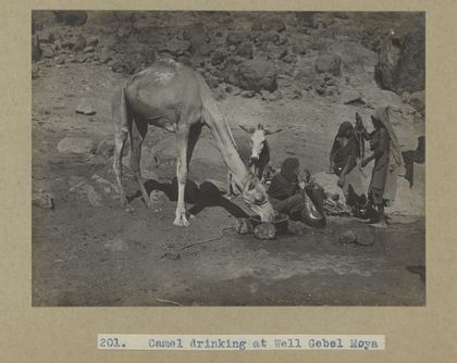 Archaeological excavations at Gebel Moya (Jebel Moya), Sudan: season of 1910-1911, and Segadi, Sudan, 1912-1925. Photographs, 19--.