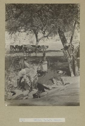 Archaeological excavations at Gebel Moya (Jebel Moya), Sudan: season of 1910-1911, and Segadi, Sudan, 1912-1925. Photographs, 19--.