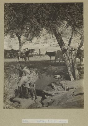 Archaeological excavations at Gebel Moya (Jebel Moya), Sudan: season of 1910-1911, and Segadi, Sudan, 1912-1925. Photographs, 19--.