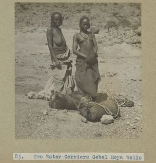Archaeological excavations at Gebel Moya (Jebel Moya), Sudan: season of 1910-1911, and Segadi, Sudan, 1912-1925. Photographs, 19--.