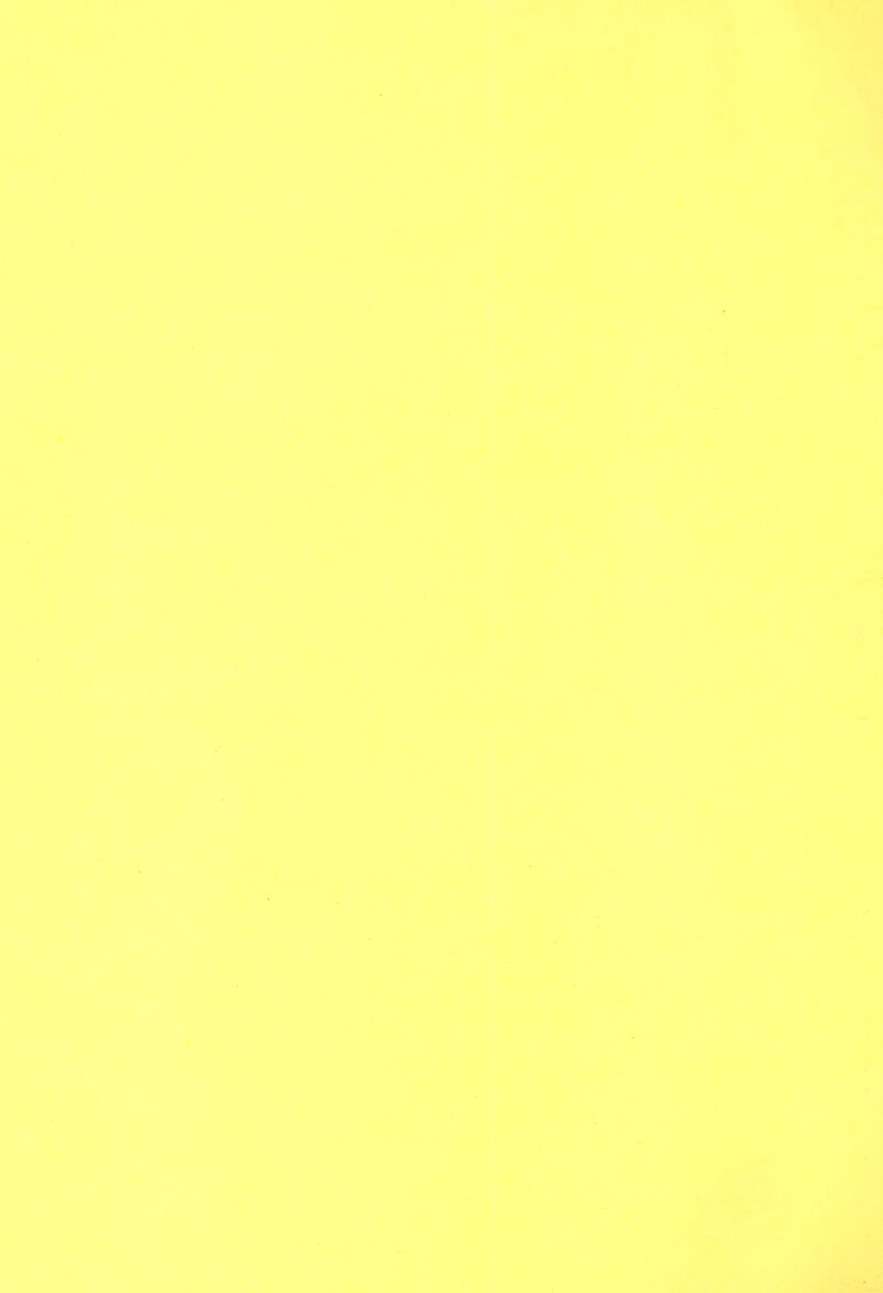 4 i