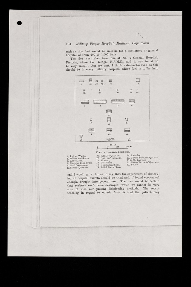 digitised image 3