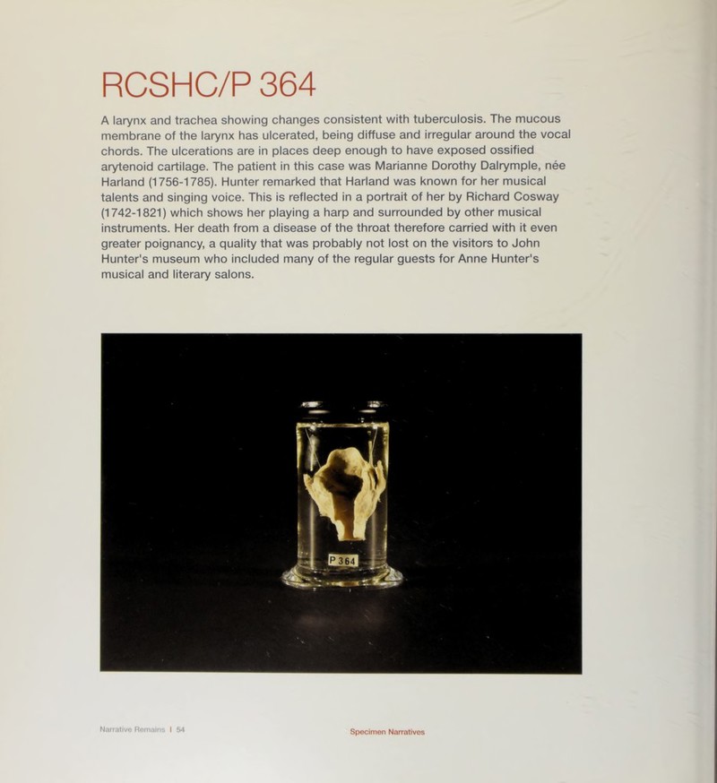 A larynx and trachea showing changes consistent with tuberculosis. The mucous membrane of the larynx has ulcerated, being diffuse and irregular around the vocal chords. The ulcerations are in places deep enough to have exposed ossified arytenoid cartilage. The patient in this case was Marianne Dorothy Dalrymple, nee Harland (1756-1785). Hunter remarked that Harland was known for her musical talents and singing voice. This is reflected in a portrait of her by Richard Cosway (1742-1821) which shows her playing a harp and surrounded by other musical instruments. Her death from a disease of the throat therefore carried with it even greater poignancy, a quality that was probably not lost on the visitors to John Hunter's museum who included many of the regular guests for Anne Hunter's musical and literary salons. Narrative Remains I 54