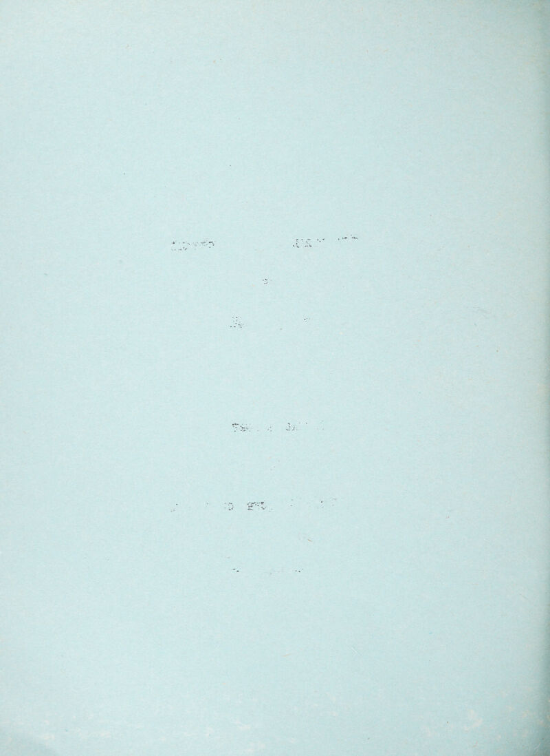 \ 4 •ir