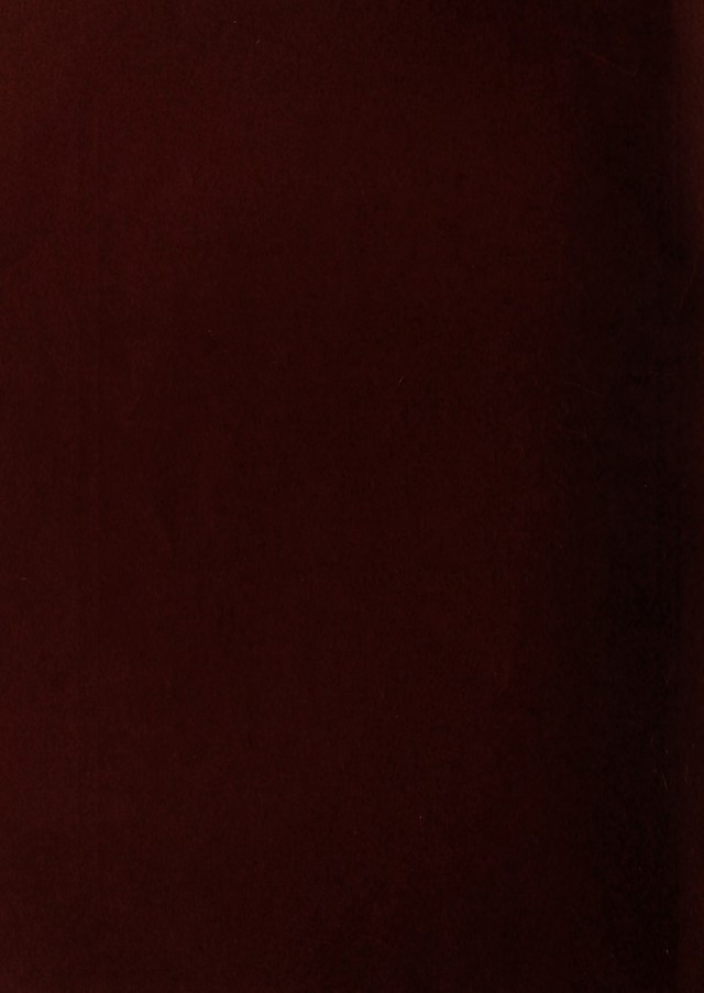 digitised image 2