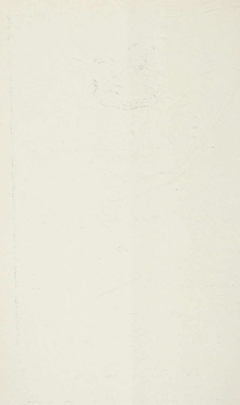 „ it, • ii •' ii i