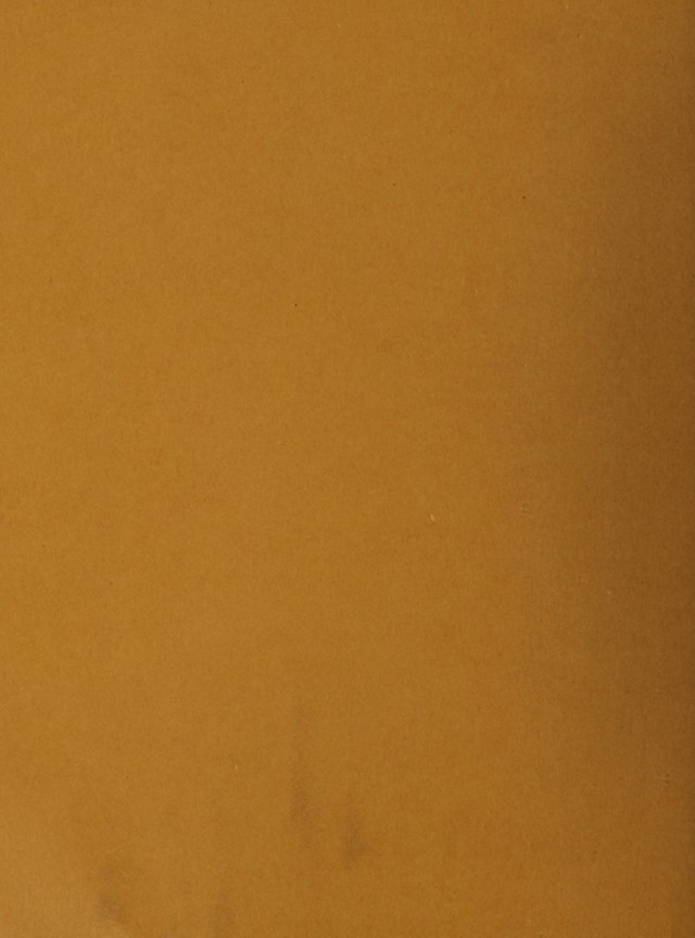 digitised image 2