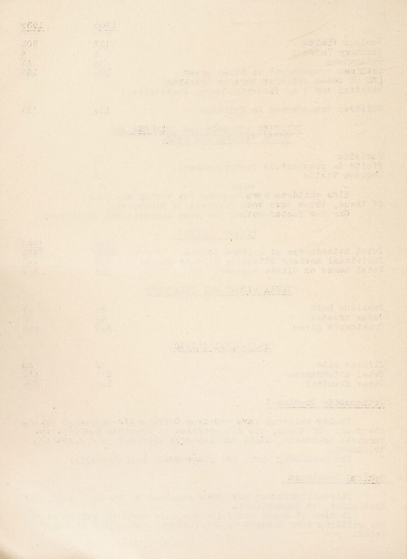 . ' >? (. V ■ 0 t V.y » ( ■ r '{) ‘ ’ ; ■