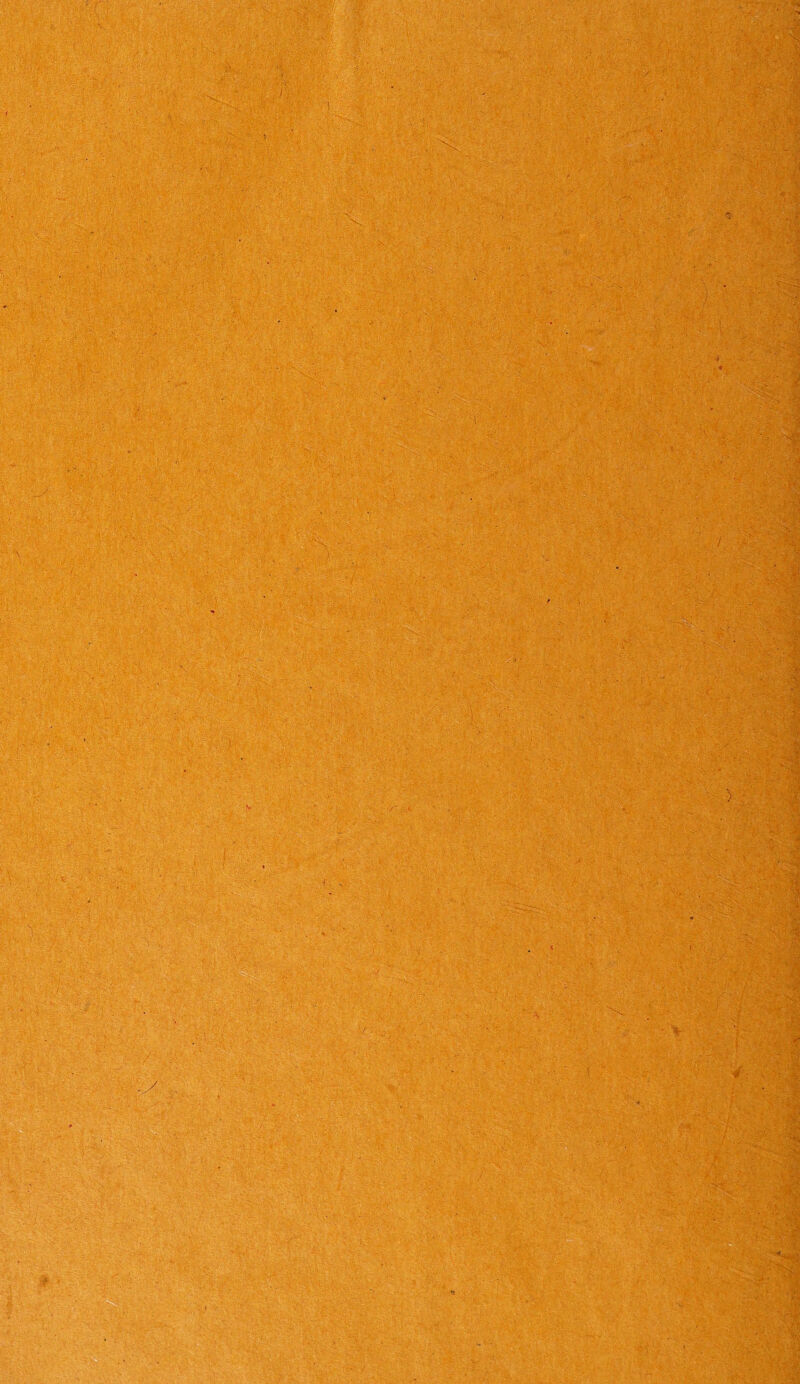 'Is ✓* 4 y : ■ *• •- ' •