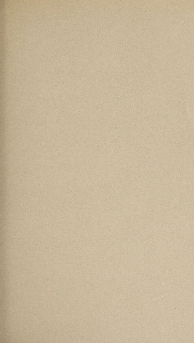 ' • V-v .'-r ' ■ y' 'i-