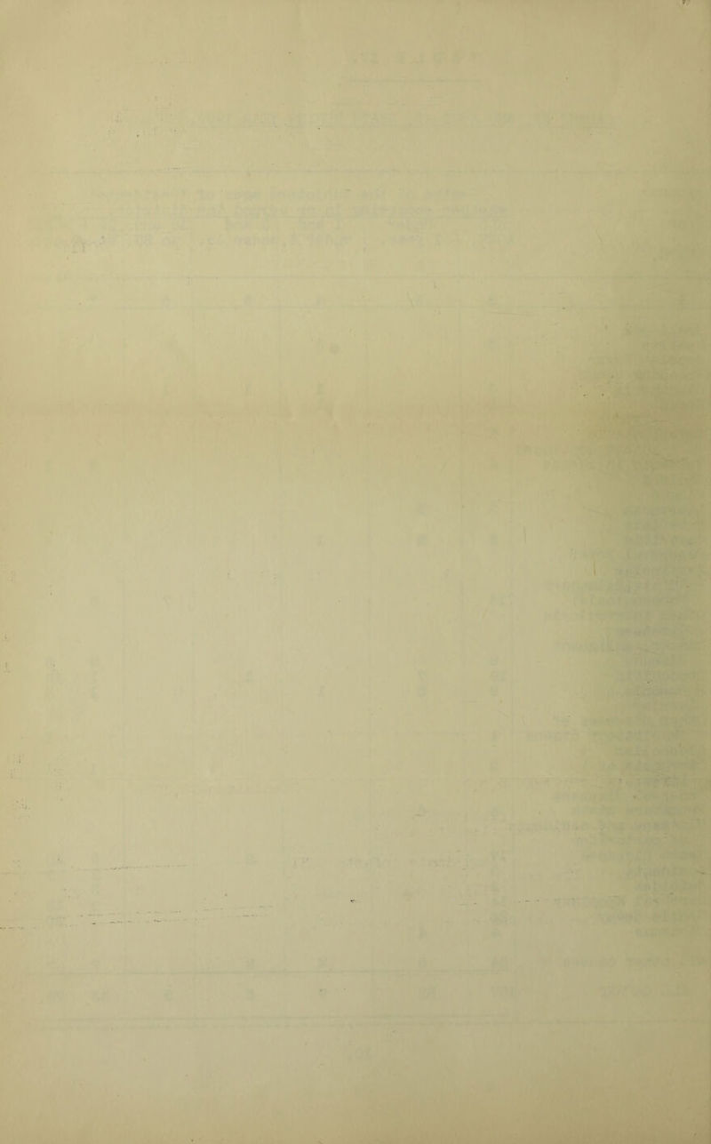 r ■ ^7 • i ’fi }.