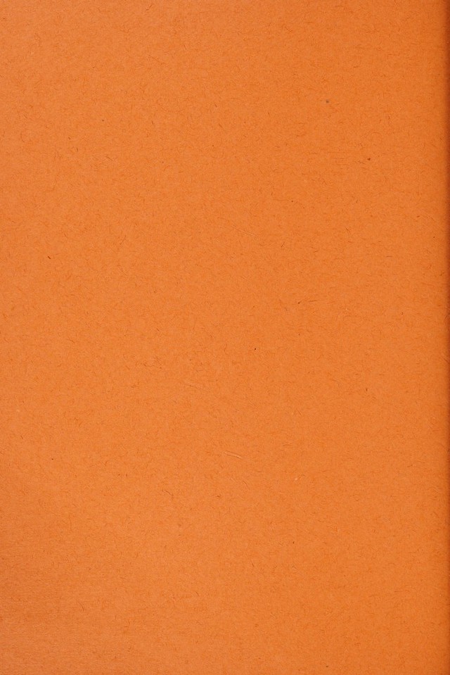 digitised image 2