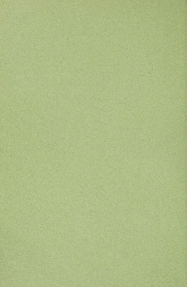 digitised image 2