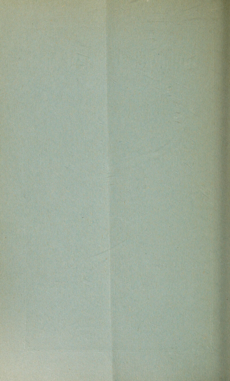 t-mu jjn*? v i&fl® . ■ W . >• ■ V• ' : !'-V^v ••• ' ■ '