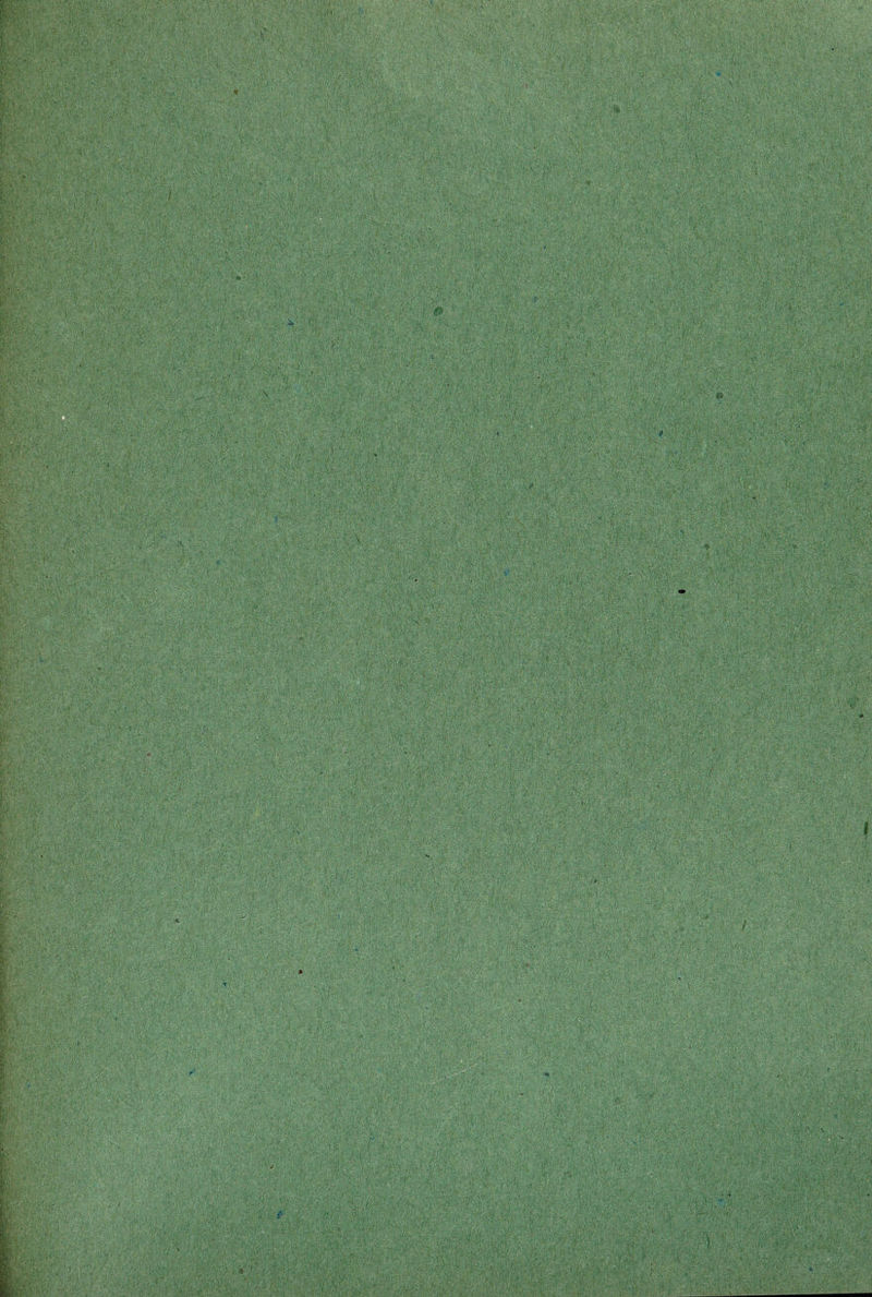 5' ■> 'V ' ‘ ' ■  ' '' . . , 0 *£.•; , [■ :i . A 'V4 '* /, /• 1 - Vjy : a■ '.,4; ./‘ft'>>• 4.•: ■ ^^ .■>•/. '.r \. ’• : ‘4,.t; '■ y • 5v: . ’ * ■ / ^ ■.