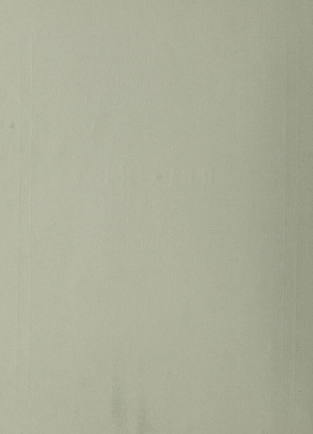 digitised image 2