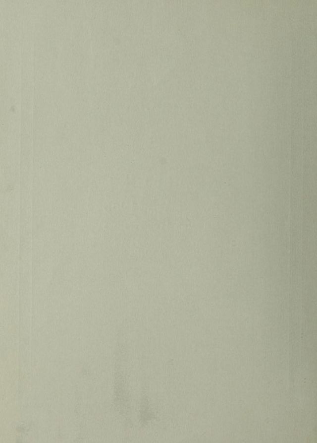 digitised image 2