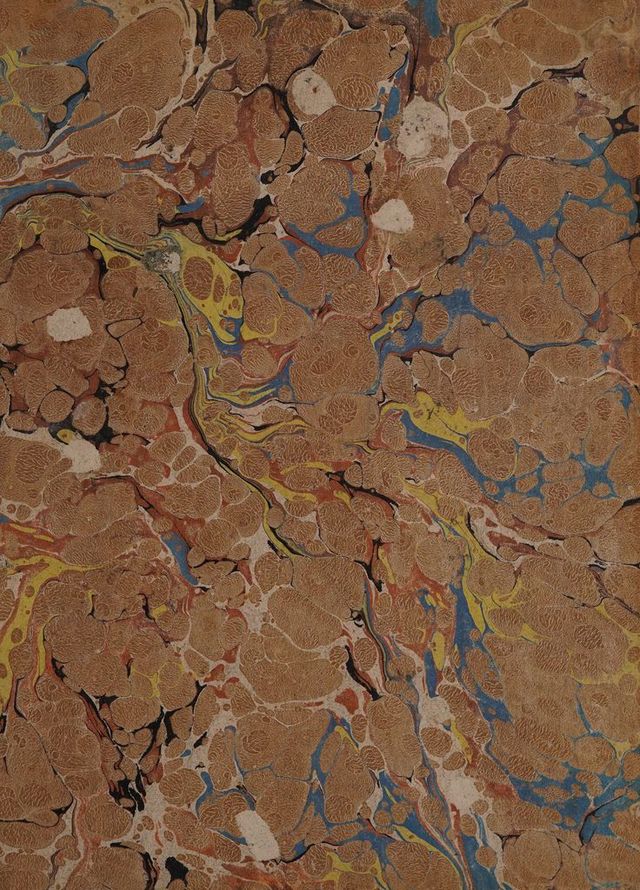 digitised image 3