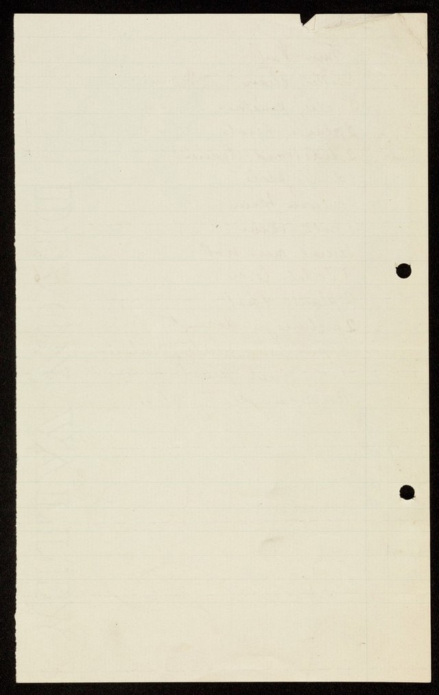 digitised image 2