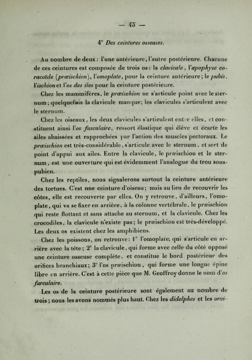 — ^5 — 4’ Des ceintures osseuses. Au nombre de deux: l’une antérieure, l’autre postérieure. Cliacune de ees ceintures est composée de trois os: la clavicule Xapophyse co¬ racoïde [prœischion), Vomoplate, pour la ceinture antérieure; le pubis. Xischioncl l’o^ des des pour la ceinture postérieure. Chez les mammifères, le prceischion ne s’articule point avec le ster¬ num ; quelquefois la clavicule manque; les clavicules s’articulent avec le sternum. Chez les oiseaux , les deux clavicules s’articident enli C elles, et con¬ stituent ainsi l’o^ fusculaire, ressort élastique qui élève et écarte les ailes abaissées et rapprochées par l’action des muscles pectoraux. Le prceischion est très-considérable, s'articule avec le sternum , et sert de point d’appui aux ailes. Entre la clavicule, le præischion et le ster¬ num, est une ouverture qui est évidemment l’analogue du trou sous- pubien. Chez les reptiles, nous signalerons surtout la ceinture antérieure des tortues. C’est une ceinture d’oiseau; mais au lieu de recouvrir les côtes, elle est recouverte par elles. On y retrouve, d’ailleurs, l’omo¬ plate, qui va se fixer en arrière, à la colonne vertébrale, le præischion qui reste flottant et sans attache au sternum, et la clavicule. Chez les crocodiles, la clavicule n’existe pas; le præischion est très-développé. Les deux os existent chez les amphibiens. Chez les poissons, on retrouve: 1 l’omoplate, qui s'articule en ar¬ rière avec la tète; T la clavicule, qui forme avec celle du côté opposé une ceinture osseuse complète, et constitue le bord postérieur des orifices branchiaux; 3 l’os præischion , qui forme une longue épine libre en arrière. C’est à cette pièce que M. Geoffroy donne le nom d’o5 furcuiaire. Les os de la ceinture postérieure sont également au nombre de trois ; nous les avons nommés plus haut. Chez les didelpkes et les ornt-