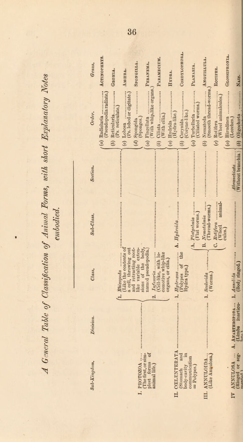 A General Table of Classification of Animal Forms, with short Explanatory Notes embodied. O a < C5 fe O cn *4 cu W o o <3 o C4 O o 2*3 jj a £.2 C3 ® r2 »—> 'O 3 CJ 0 3 £ Sj c3 co 3 * ^3 «» '*r? so ■— wi (Si ? gl -ag 1“ So. 3i !B c3 = eS ^ .s rz > oC ^ r5 rs 2 s ^ • S 5 o 3 2 £, b <?.2 e 2 3 5 5 2 -S' §3 II i' CSC K k“ as h“ s CO ' O CQ S n e.S •5 « O ilsS-si 8 S ’2 *-• 5 o s § © e £ - .5 « q. r- <i£ S2 m **- r* a> f§^3 d >°o jr to * CJ S c 60 5’S-rt o‘-3 ^ O e •§ 2 O i3 O : rt _rt P< »s| •g<~ I, |«»5 « °r £-s.r • o ,2 id ..©g^ 525®- 8^.ll £SI& H BJ fl ^ - O O S J ; = rS, .2 N ^ 3 C3 iS CO o « o« 5 x M 2 c 2- rt V >-j *- fel • to e.S i I § © >. CQ i © : =* ■« .a O rt &. - O — M Ef. S;S< <> CQ H3.2 fl 2* .2 a >» u « « r— — o Izoica M = o 3 ►. gl^is W CO O O II O ^.o a II Q-S : to o O ^ ^ G B<j K, « ^ id is, 5 Si 2.1 c / .j c 53 H .£