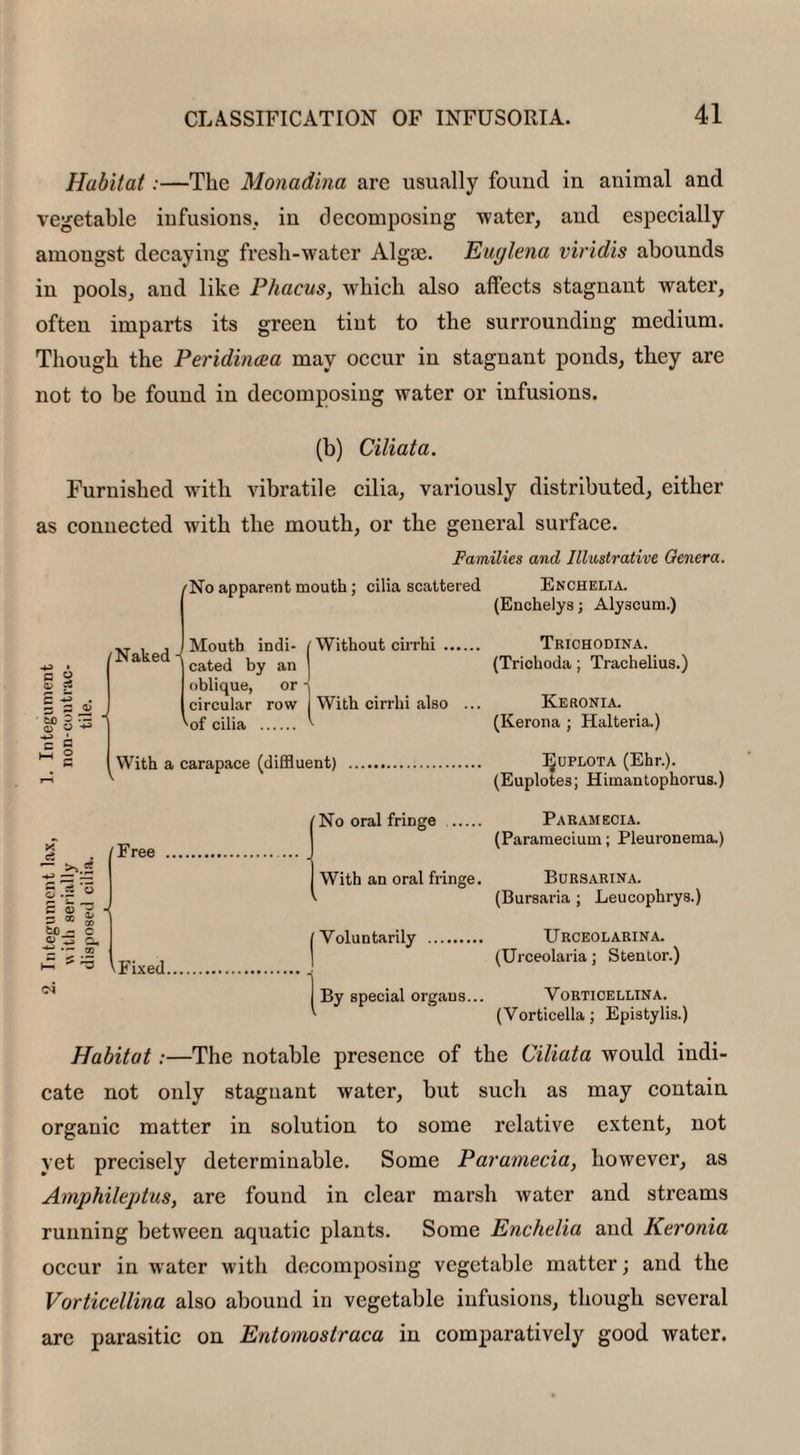 Habitat:—The Monadina are usually found in animal and vegetable infusions,, in decomposing water, and especially amongst decaying fresh-water Algae. Euglena viridis abounds in pools, and like Phacus, which also affects stagnant water, often imparts its green tint to the surrounding medium. Though the Peridincea may occur in stagnant ponds, they are not to be found in decomposing water or infusions. (b) Ciliata. Furnished with vibratile cilia, variously distributed, either as connected with the mouth, or the general surface. Families and Illustrative Genera. /No apparent mouth ; cilia scattered Enchelia. (Enchelys; Alyscum.) Trichodina. (Trichoda; Trachelius.) Keronia. (Kerona ; Halteria.) IJuplota (Ehr.). (Euplotes; Himantophorus.) c o 0) 53 83 * c g Naked Mouth indi- Without cirrhi cated by an oblique, or - I circular row 'of cilia . With cirrhi also With a carapace (diffluent) % . /Free — >.* 5J.S o I 11 to - c o ■ ; ao VFixed. No oral fringe . With an oral fiinge. (Voluntarily . By special organs... Paramecia. (Paramecium; Pleuronema.) Bursarina. (Bursaria ; Leucophrys.) Urceolarina. (Urceolaria; Stentor.) VORTICELLINA. (Vorticella; Epistylis.) Habitat:—The notable presence of the Ciliata would indi¬ cate not only stagnant water, but such as may contain organic matter in solution to some relative extent, not yet precisely determinable. Some Paramecia, however, as Amphileptus, are found in clear marsh water and streams running between aquatic plants. Some Enchelia and Keronia occur in water with decomposing vegetable matter; and the Vorticellina also abound in vegetable infusions, though several are parasitic on Entomostraca in comparatively good water.