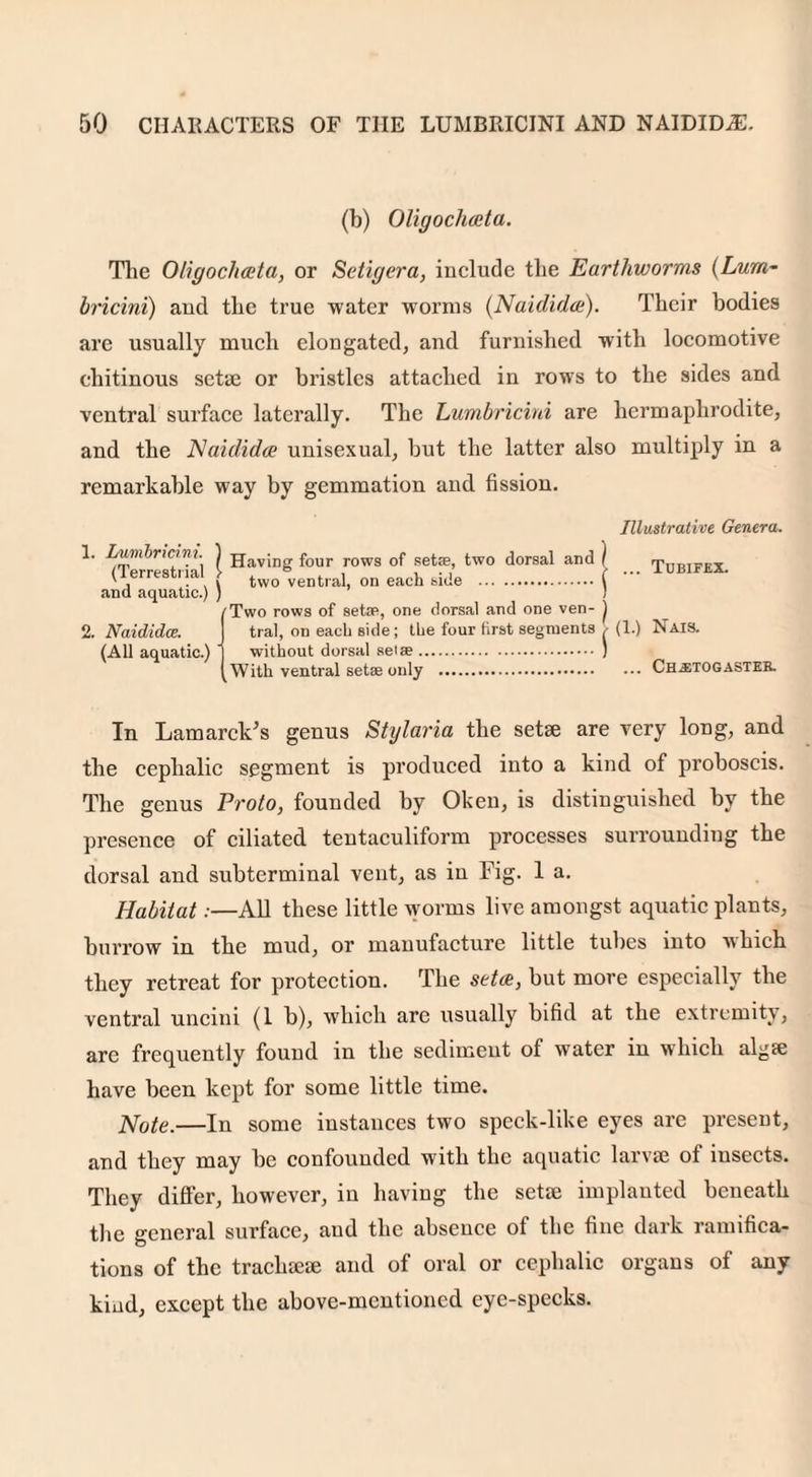 (b) Oligochceta. The Oligochceta, or Setigera, include the Earthworms (Lum- bricini) and the true water worms (Naididce). Their bodies are usually much elongated, and furnished with locomotive chitinous setae or bristles attached in rows to the sides and ventral surface laterally. The Lumbricini are hermaphrodite, and the Naididce unisexual, but the latter also multiply in a remarkable way by gemmation and fission. 1. 2. Lumbricini. ) jjav;n„ four rows Gf set;e, two dorsal and ) (Terrestrial tw06ventral on each hide . ( and aquatic.) ) ) /Two rows of setse, one dorsal and one ven- Naididce. (All aquatic.) ' tral, on each side; the four first segments without dorsal selae. With ventral setae only . Illustrative Genera. Tcbifex. (1.) Nais. ... Chastogaster. In Lamarck’s genus Stylaria the setse are very long, and the cephalic segment is produced into a kind of proboscis. The genus Proto, founded by Oken, is distinguished by the presence of ciliated tentaculiform processes surrounding the dorsal and subterminal vent, as in Fig. 1 a. Habitat:—All these little worms live amongst aquatic plants, burrow in the mud, or manufacture little tubes into ■which they retreat for protection. The setce, but more especially the ventral uncini (1 b), which are usually bifid at the extremity, are frequently found in the sediment of water in which algse have been kept for some little time. Note.—In some instances two speck-like eyes are present, and they may be confounded with the aquatic larvae of insects. They differ, however, in having the setse implanted beneath the general surface, aud the absence of the fine dark ramifica¬ tions of the trachaese and of oral or cephalic organs of any kind, except the above-mentioned eye-specks.