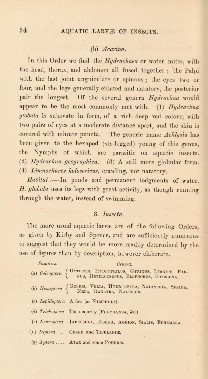 (b) Acarina. In this Order we find the Hydrachnea or water mites, with the head, thorax, and abdomen all fused together ; the Palpi with the last joint unguiculate or spinous ; the eyes two or four, and the legs generally ciliated and natatory, the posterior pair the longest. Of the several genera Hydruchna would appear to be the most commonly met with. (1) Hydruchna gtobula is subovate in form, of a rich deep red colour, with two pairs of eyes at a moderate distance apart, and the skin is covered with minute puncta. The generic name Achlysia has been given to the hexapod (six-legged) young of this genus, the Nymphs of which are parasitic on aquatic insects. (2) Hydruchna geo graphic a. (3) A still more globular form. (4) Limnochares holosericus, crawling, not natatory. Habitat:—In ponds and permanent lodgments of water. H. globula uses its legs with great activity, as though running through the water, instead of swimming. 3. Insecta. The more usual aquatic larvte are of the following Orders, as given by Kirby and Spence, and are sufficiently numerous to suggest that they would be more readily determined by the use of figures than by description, however elaborate. Families. Genera. (a) Coleoptera (b) Hemiptera -j Dttikcos, TIydrophilus, Gyrinus, Ltmnius, Par- MUS, HeTEROCERCUS, EloPHORUS, HyDRvENA. Gerris, Velia, Htdr metra, Notonecta, Sigara, Nepa, Uanatka, Naucoris. (c) Lepidoptera A few (as Nymphula). (d) Trichoptera The majority (Phrtganea, &c.) (e) Neuroptera Libellola, ^Eshna, Agrion, Sialis, Ephemera. (/) Diptera .. Culex and Tipdlari.e. (>j) Aptera. Atax and some Todur-e.