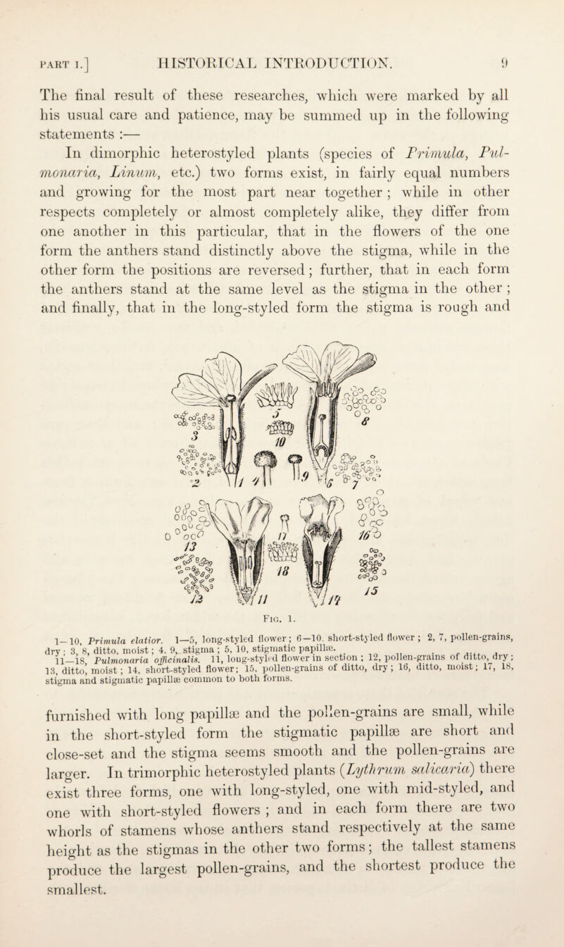 The final result of these researches, which were marked by all his usual care and patience, may be summed up in the following statements :— In dimorphic heterostyled plants (species of Primula, Pul- monaria, IAnum, etc.) two forms exist, in fairly equal numbers and growing for the most part near together ; while in other respects completely or almost completely alike, they differ from one another in this particular, that in the flowers of the one form the anthers stand distinctly above the stigma, while in the other form the positions are reversed; further, that in each form the anthers stand at the same level as the stigma in the other ; and finally, that in the long-styled form the stigma is rough and o Fig. 1. q Primula €latior. 1—5, long-styled flower * 6—10. short-stj led flower , 2, / , pollen-grains, dry ; 3,’8, ditto, moist; 4. 9>_stigma ; 5, 10, stigmatic papill*. . ...... \\_is Pulmonaria officinalis. 11, loug-styled flower in section ; 12, pollen-grams of ditto, dry ; 13, ditto', moist; 14, short-styled flower; 15, pollen-grains of ditto, dry; 16, ditto, moist; 17, stigma and stigmatic papillae common to both forms. 18, furnished with long papilla; and the pollen-grams are small, while in the short-styled form the stigmatic papillae are short and close-set and the stigma seems smooth and the pollen-grains are larger. In trimorpliic heterostyled plants (Lythrum salicaria) there exist three forms, one with long-styled, one with mid-styled, and one with short-styled flowers ; and in each form there are two whorls of stamens whose anthers stand respectively at the same height as the stigmas in the other two forms; the tallest stamens produce the largest pollen-grains, and the shortest produce the smallest.