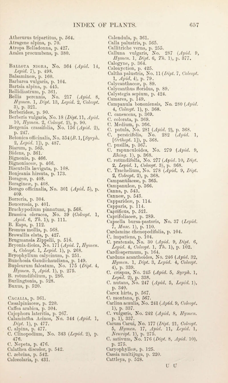 Atherurus tripartitus, p. 564. Atragene alpina, p. 70. Atropa Belladonna, p. 427. Azalea procumbens, p. 380. Ballota nigra, No. 304 (Apid. 14, Lepid. 7), p. 498. Balsaminea3, p. 160. Barbarea vulgaris, p. 104. Bartsia alpina, p. 445. Bellidiastrum, p. 361. Beilis perennis, No. 217 {Apul. 8, Hymen. 1, Dipt. 13, Lepid. 2, Coleopt. 3), p. 321. Berberidese, p. 90. Berberis vulgaris, No. 18 {Dipt. 11, Apid. 10, Hymen. 2, Coleopt. 2), p. 90. Bergenia crassifolia, No. 156 {Apid. 2), p. 247. Betonica officinalis, No. 354 (A 1, [Syrph. 2, Lepid. 1]), p. 487. Biarum, p. 565. Bidens, p. 361. Bignonia, p. 466. Bignoniacese, p. 466. Biscutella laevigata, p. 108. Bonjeania hirsuta, p. 173. Borageae, p. 408. Boragineae, p. 408. Borago officinalis, No. 301 {Apid. 5), p. 409. Borreria, p. 304. Boucerosia, p. 401. Brachypodium pinnatuni, p. 568. Brassica oleracea, No. 39 {Coleopt. 1, Apid. 6, Th. 1), p. 111. B. Rapa, p. 112. Bromus mollis, p. 568. Browallia elata, p. 427. Brugmansia Zippelii, p. 516. Bryonia dioica, No. 171 {Apid. 7, Hymen. 4, Coleopt. 1, Lepid. 1), p. 268. Bryophvllum calycinum, p. 251. Bunchosia Gaudichaudiana, p. 149. Bupleurum falcatum, No. 175 {Dipt. 4, Hymen. 3, Apid. 1), p. 275. B. rotundifolium, p. 286. Burlingtonia, p. 528. Buxus, p. 520. Cacalia, p. 361. Csesalpiniacese, p. 220. CafFea arabica, p. 304. Cajophora lateritia, p. 267. Calamintha Acinos, No. 344 {Apid. 1, Dipt. 1), p. 477. C. alpina, p. 477. C. Clinopodium, No. 343 {Lepid. 2), p. 470. C. Nepeta, p. 476. Calathea discolor, p. 542. C. zebrina, p. 542. Calceolaria, p. 431. Calendula, p. 361. Calla palustris, p. 565. Callitriche verna, p. 255. Calluna vulgaris, No. 287 {Apid. 9, Hymen. 1, Dipt. 6, Th. 1), p. 377. Calogyne, p. 364. Calonyction, p. 425. Caltha palustris, No. 11 {Dipt. 7, Coleopt. 1, Apid. 4), p. 79. Calycanthacese, p. 89. Calycantlius floridus, p. 89. Calystegia sepium, p. 424. Camarea, p. 149. Campanula bononiensis, No, 280 {Apid. 4, Coleopt. 1), p. 368. C. canescens, p. 369. C. colorata, p. 369. C. Medium, p. 386. C. patula, No. 281 {Apid. 2), p. 368. C. persicifolia, No. 282 {Apid. 1, [Orthopt. 1]), p. 368. C. pusilla, p. 367. C. rapunculoides, No. 279 {Apid. 9, Thing. 1), p. 368. C. rotundifolia, No. 277 {Apid. 10, Dipt. 2, Lepid. 1, Coleopt. 3), p. 868. C. Trachelium, No. 278 {Apid. 9, Dipt. 2, Coleopt. 2), p. 368. Campantilacea, p. 365. Campanuleae, p. 366. Canna, p. 543. Canneee, p. 543. Capparidese, p. 114. Capparis, p. 114. Caprificiis, p. 521. Caprifoliaceee, p. 289. Capsella bursa-pastoris, No. 37 {Lepid. 7, Muse. 1), p. 110. Cardamine chenopodifolia, p. 104. L\ impatiens, p. 104. C. pratensis, No. 30 {Apid. 9, Dipt. 6, Lepid. 4, Coleopt. 1, Th. 1), p. 102. Cardiospermum, p. 164. Carduus acanthoides, No. 246 {Apid. 32, Hymen. 1, Dipt. 3, Lepid. 4, Coleopt. 4), p. 339. C. crispus, No. 245 {Apid. 5, Syrph. 1, Lepid. 2), p. 338. C. nutans, No. 247 {Apid. 5, Lepid. 1), p. 340. Carex hirta, p. 567. C. montana, p. 567. Carlin a acaulis, No. 241 {Apid. 9, Coleopt. 1), p. 337. C. vulgaris, No. 242 {Apid. 8, Hymen. p. 1), 337. Carurn Carui, No. 177 {Dipt. 21, Coleopt. 5, Hymen. 17, Apid. 11, Lepid. 1, Neur&pt. 1), p. 275. C. sativum, No. 176 {Dipt. 8, Apid. 10), p. 275. Caryophyllese, p. 125. Cassia multijuga, p. 220. Cattleya, p. 528. U (J